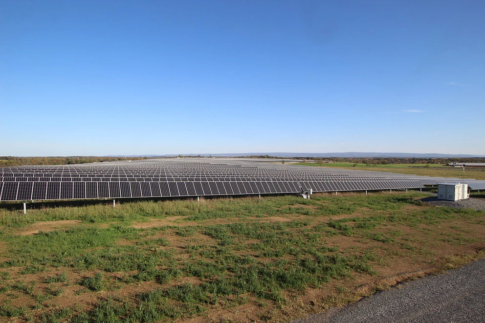 Solar panels in a field 