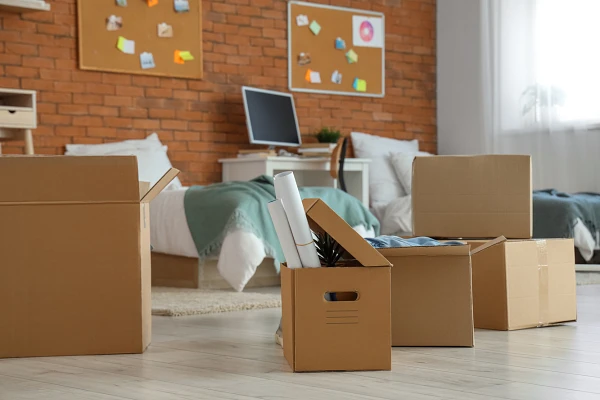 Cardboard boxes are scattered around a room with a bed, indicating a moving or packing situation.